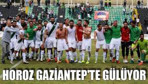 DENİZLİSPOR GAZİANTEP'TE GÜLÜYOR