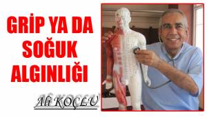 GRİP YA DA SOĞUK ALGINLIĞI