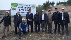 HER BEBEK İÇİN BİR FİDAN