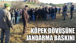 KÖPEK DÖVÜŞÜNE JANDARMA BASKINI