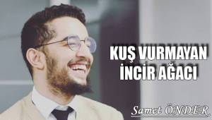 KUŞ VURMAYAN İNCİR AĞACI
