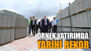ÖRNEK YATIRIMDA TARİHİ REKOR