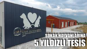 SOKAK HAYVANLARINA 5 YILDIZLI TESİS