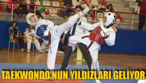 TAEKWONDO’NUN YILDIZLARI GELİYOR