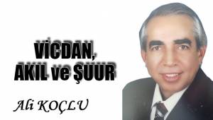 VİCDAN, AKIL ve ŞUUR