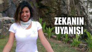 ZEKANIN UYANIŞI