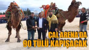 ÇAL ARENA’DA 90 TÜLÜ KAPIŞACAK