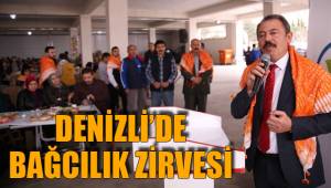 DENİZLİ’DE BAĞCILIK ZİRVESİ