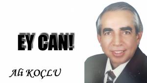 EY CAN!