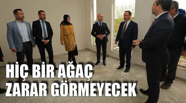 HİÇ BİR AĞAÇ ZARAR GÖRMEYECEK