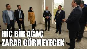 HİÇ BİR AĞAÇ ZARAR GÖRMEYECEK