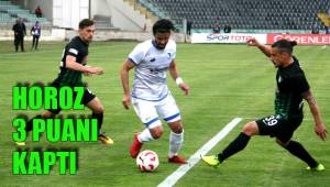 HOROZ 3 PUANI KAPTI