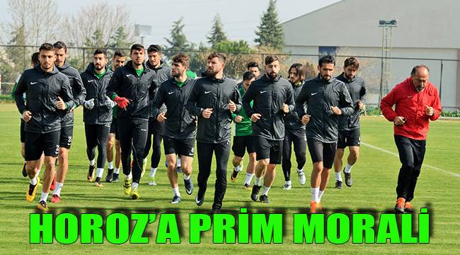 HOROZ’A PRİM MORALİ