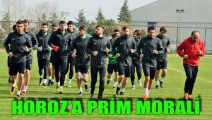 HOROZ’A PRİM MORALİ