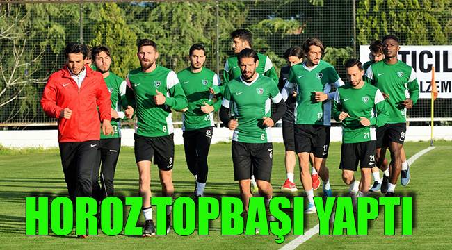 HOROZ TOPBAŞI YAPTI