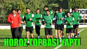 HOROZ TOPBAŞI YAPTI