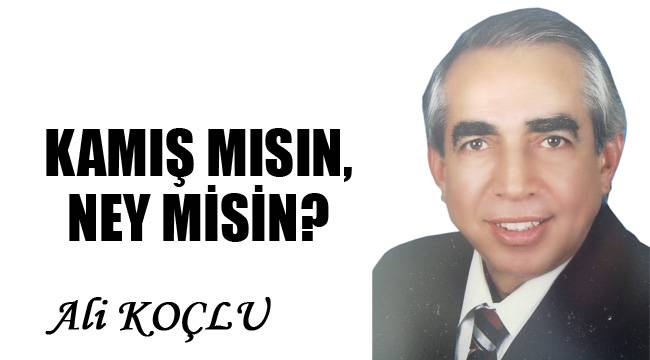 Aziziye Mahallesi Icinde Ikinci El Satilik Ozel Cantasinda Erkek Ney Letgo