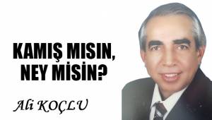 KAMIŞ MISIN, NEY MİSİN?