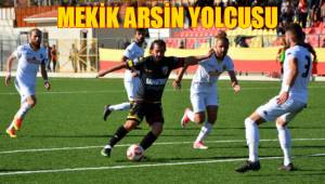 MEKİK ARSİN YOLCUSU