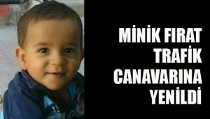 MİNİK FIRAT TRAFİK CANAVARINA YENİLDİ