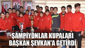 ŞAMPİYONLAR KUPALARI BAŞKAN ŞEVKAN'A GETİRDİ