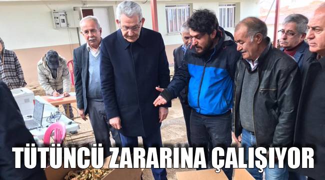 TÜTÜNCÜ ZARARINA ÇALIŞIYOR