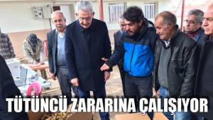 TÜTÜNCÜ ZARARINA ÇALIŞIYOR