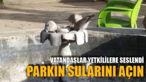 VATANDAŞLAR YETKİLİLERE SESLENDİ
