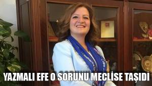 YAZMALI EFE O SORUNU MECLİSE TAŞIDI