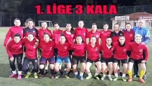 1. LİGE 3 KALA