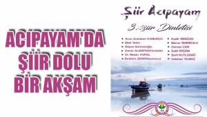 ACIPAYAM'DA ŞİİR DOLU BİR AKŞAM