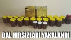 BAL HIRSIZLARI YAKALANDI