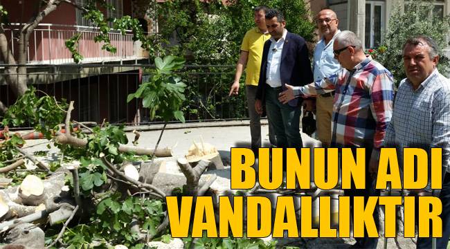 BUNUN ADI VANDALLIKTIR