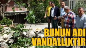 BUNUN ADI VANDALLIKTIR