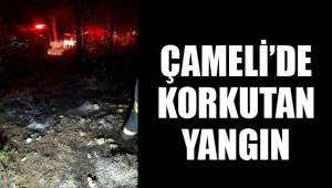 ÇAMELİ’DE ALEVLER YÜKSELDİ