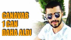 CANAVAR 1 CAN DAHA ALDI