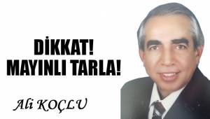 DİKKAT! MAYINLI TARLA!