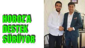 HOROZ’A DESTEK SÜRÜYOR