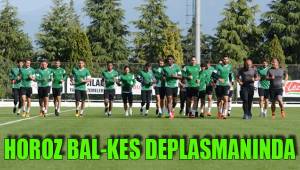 HOROZ BAL-KES DEPLASMANINDA