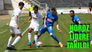 HOROZ LİDERE TAKILDI