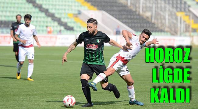 HOROZ LİGDE KALDI