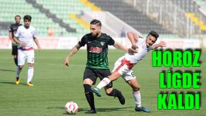 HOROZ LİGDE KALDI