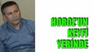 HOROZ’UN KEYFİ YERİNDE