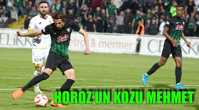 HOROZ’UN KOZU MEHMET