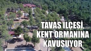 TAVAS, KENT ORMANINA KAVUŞUYOR