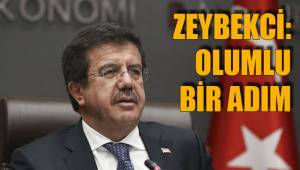 ZEYBEKCİ: OLUMLU BİR ADIM
