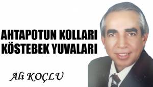 AHTAPOTUN KOLLARI KÖSTEBEK YUVALARI
