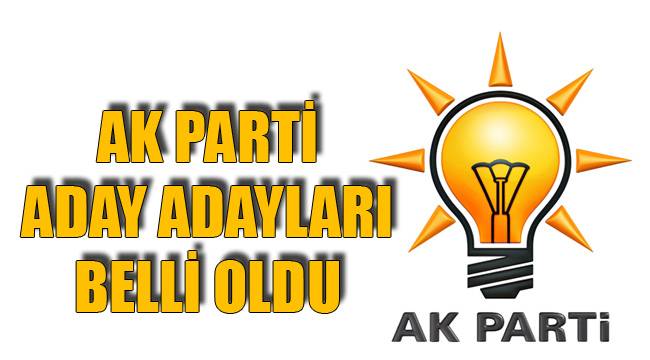 AK PARTİ ADAY ADAYLARI BELLİ OLDU