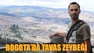 BOGOTA’DA TAVAS ZEYBEĞİ