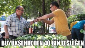 BÜYÜKŞEHİR'DEN 40 BİN FESLEĞEN